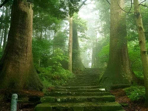 Hotel The Grand Court Matsusaka - Good To Know