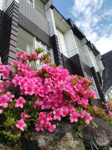 JAS HOTEL TAKAYAMA - Guest Ratings and Reviews