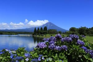 Kyukamura Fuji - Facilities and Services