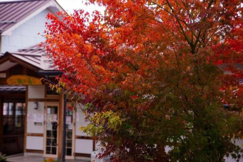 Lodge Raven - Good To Know