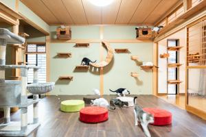 Nekozo's Inn Hida - Guest Services and Amenities