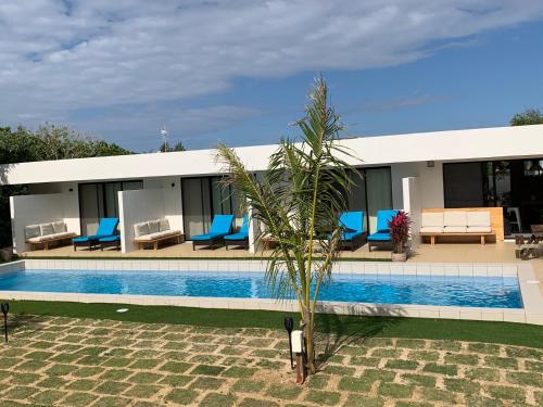 NEST Iriomote - Good To Know