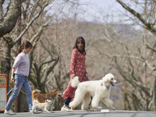 Pet & Spa Hotel Izukogen - Good To Know