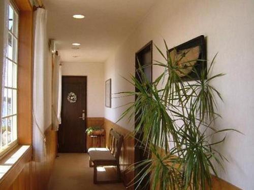 Petit Hotel Kashikojima Harbor - Booking and Cancellation Policies