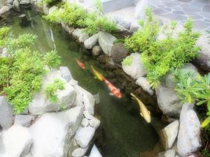 Yukinohana - Dining and Cuisine