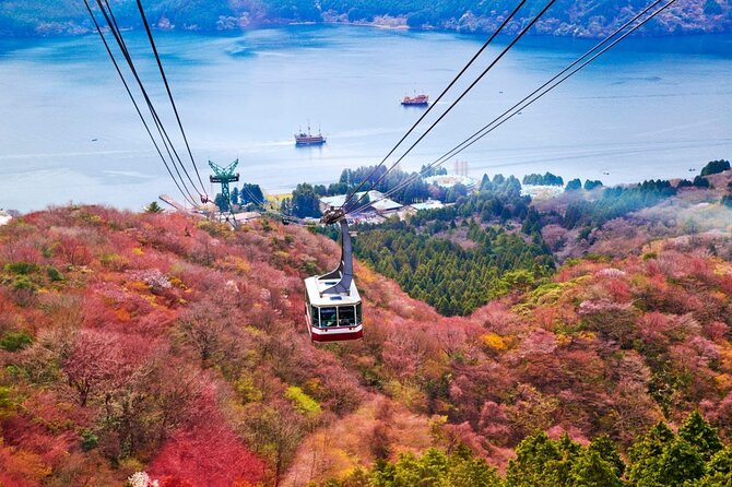1 Day Private Tour to Hakone-Gotemba With English Speaking Driver - Good To Know