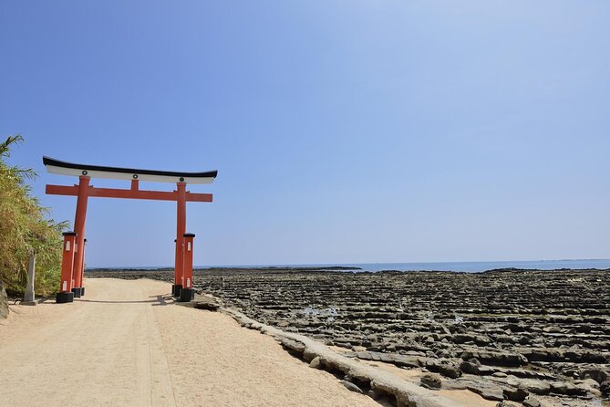1 Day Private Tour to Miyazaki Nichinan - Good To Know