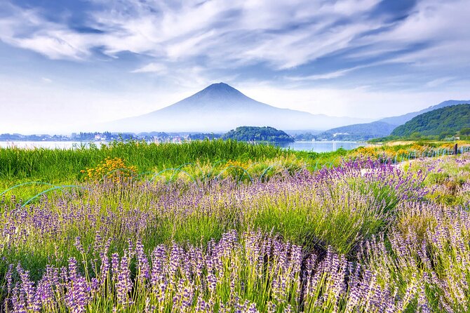 10 Day Japan Private Tour Unveiling Maximum Attractions - Good To Know