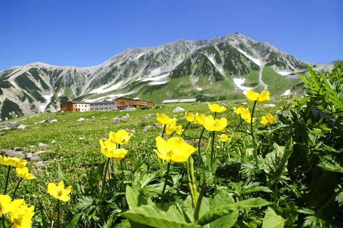 1-Day Tateyama-Kurobe Tour: Walking on the Roof of Japan
