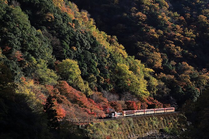 Arashiyama Walking Tour With Optional Sagano Romantic Train Ride - Inclusions