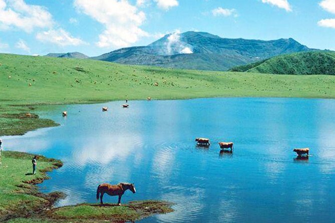 Aso Vocano, Grassland,Onsen and Aso Shrine 1-Day Tour