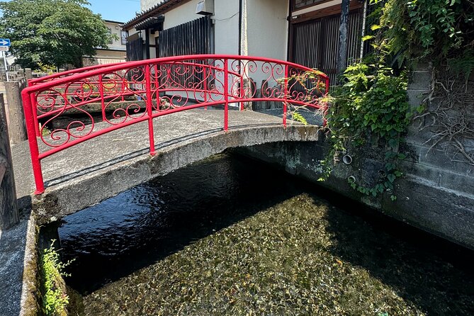 Bullet Train Experience & Mishima Shrine Private Tour From Tokyo - Tour Overview