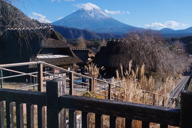 Customisable Mt.Fuji Private Day Trip, English Speaking Driver - Tour Overview