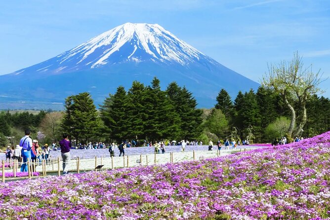 Day Tour at Mt. Fuji, Kawaguchi Lake and Oshino Hakkai in Tokyo - Meeting and Pickup Information