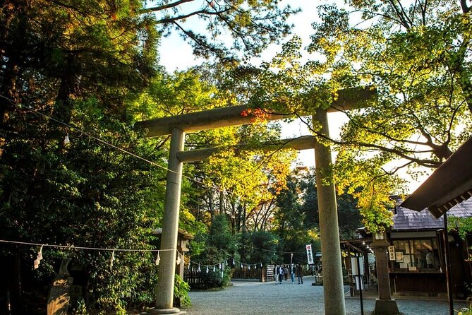 Day Tour to Miyazaki Takachiho Gorge & Shrine Depart From Fukuoka