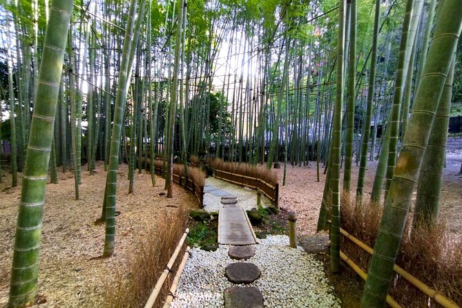 Day Trip to Kamakura & Enoshima: Shrines, Seaside, Temples & Tea - Exploring Kamakura