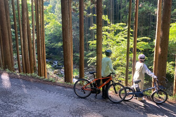 E-bike Rental in Okutama, Tokyo