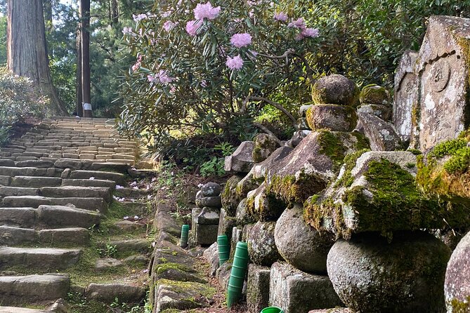 Exclusive Luxury Day Tours Serene Nara