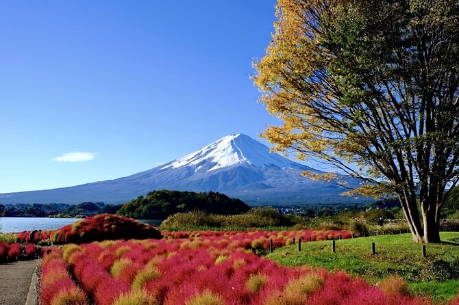 From Tokyo: Mount Fuji Full Day Private Tour With English Guide - Tour Overview