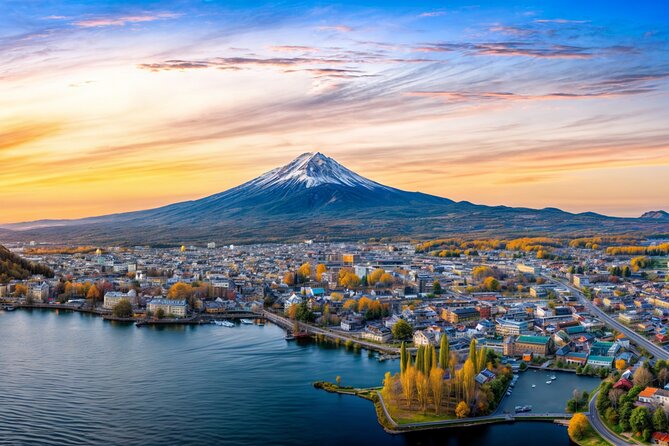 From Tokyo: Mt Fuji and Hakone Private Day Trip