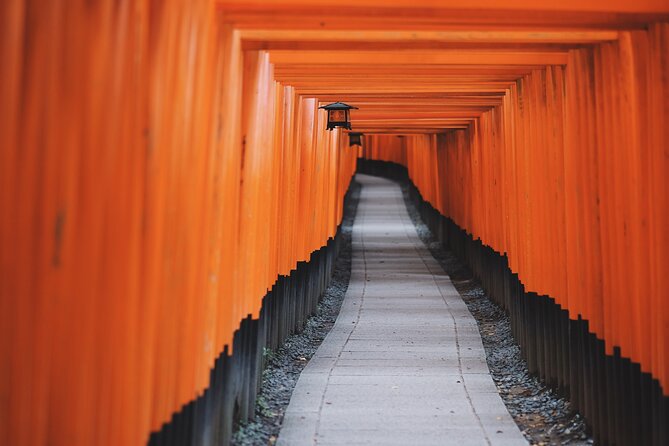 From Tokyo to Kyoto and Nara: A Captivating Full-Day Private Tour - Tour Overview and Pricing