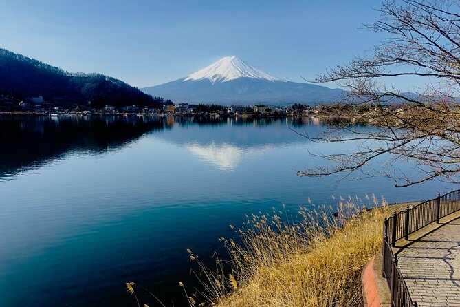 Fuji Hakone Cherry Blossom Private Tour - Inclusions