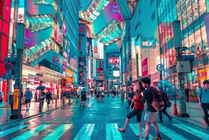 Full Day Tokyo Private City Tour - Tour Overview