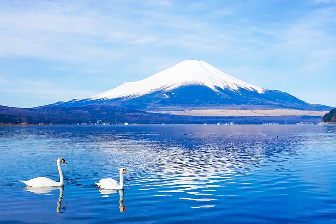 Full Day Tour at Mt. Fuji, Onsen, Lake Kawaguchi and Yamanaka - Tour Overview
