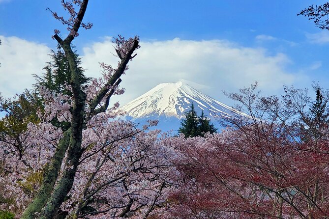 Guided 3 Days Tour Tokyo, Mt. Fuji and Hakone GREEN NUMBER PLATE - Inclusions and Fees