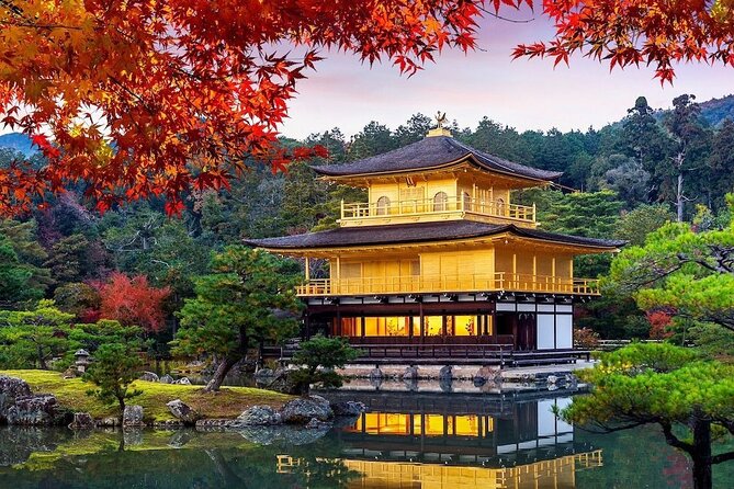 Guided Kyoto City Cherry Blossom One Day Private Tour