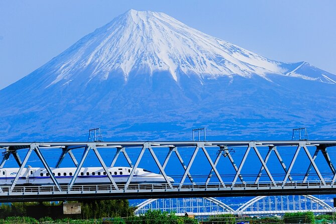 Guided Mt. Fuji & Hakone Tour Bullet Train Return GREEN NUMBER - Tour Overview