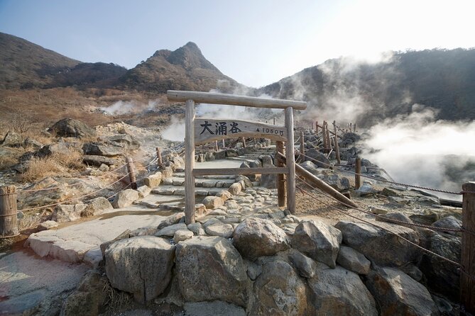 Hakone Adventure Tour (With English or Japanese Speaking Guide) - Pickup Information