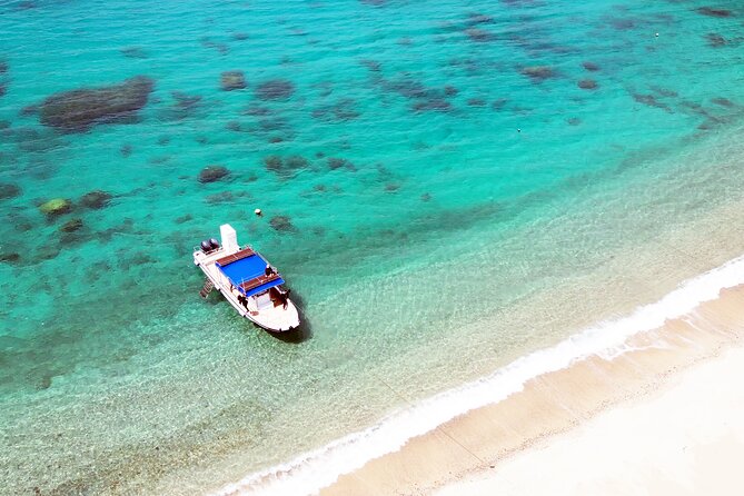Half Day Amami Japan Boat Snorkeling Adventure - Inclusions and Meeting Details