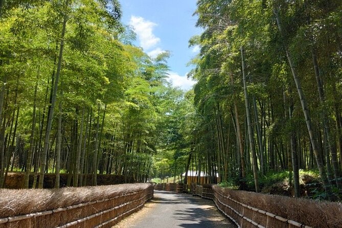 Hidden Bamboo Gem and Japanese Foods in Izakaya Private Tour