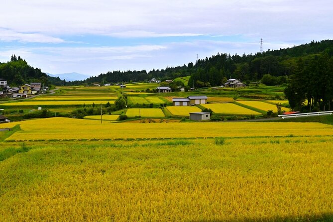 Hiking the Historic Nakasendo Trail- 1 Day Tour From Nagoya