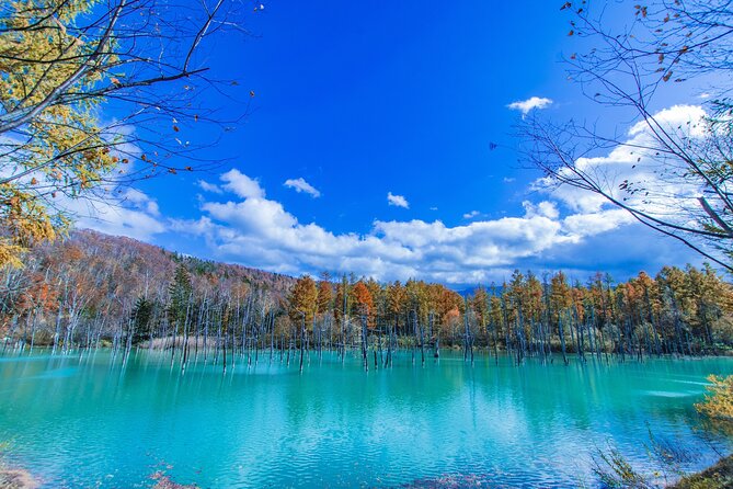 Hokkaido Day Trip From Sapporo: Asahiyama Zoo to Ningle Terrace