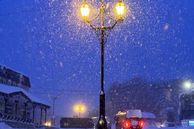 Hokkaido Otaru Private Full Day Tour (Depart From Sapporo)
