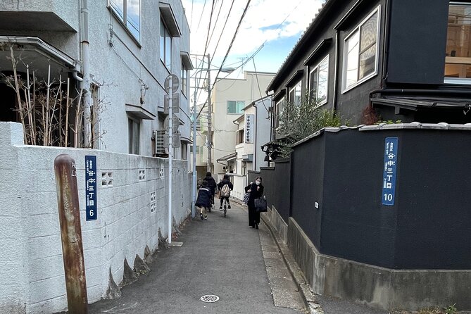 Japanese Dessert & Sake Pairing & Retro Tokyo Walk W/ Local Guide - Tour Overview