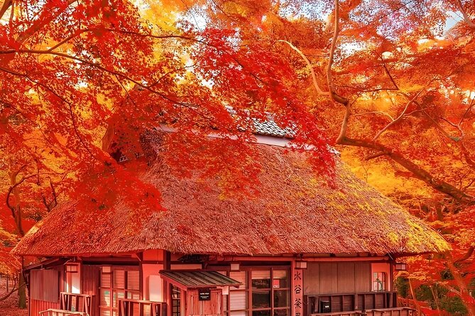 Kyoto and Nara Day Tour From Osaka and Kyoto