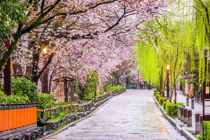 Kyoto Geisha District Walking Tour in Gion - Highlights of the Walking Tour