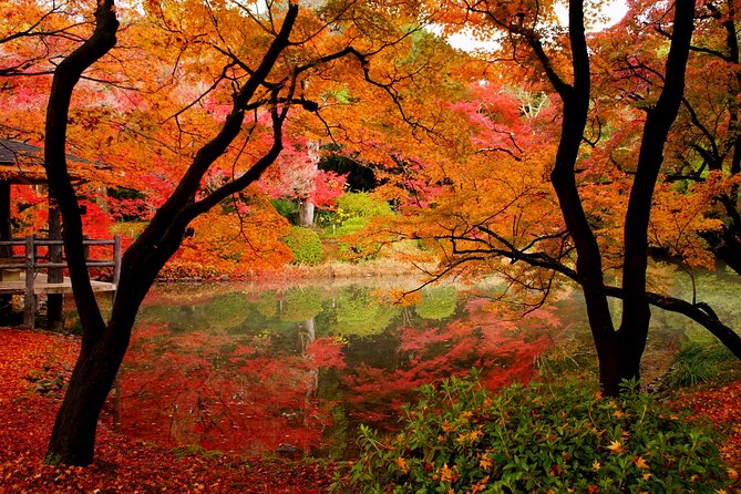 Kyoto Highlights: Half Day Customized World Heritage Walking Tour