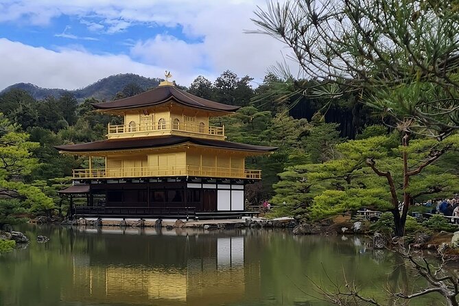 Kyoto: One Day Private Car Tour