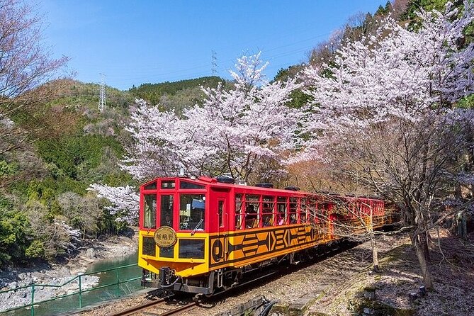 Kyoto Sagano Romantic Train With Cherry Blossoms Bus Tour