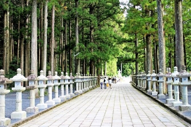 Kyoto to Mt. Koya One Day Walking Tour