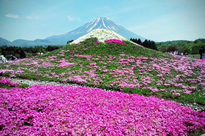 Majestic Mount Fuji: Exclusive Private Day Tour - Tour Overview