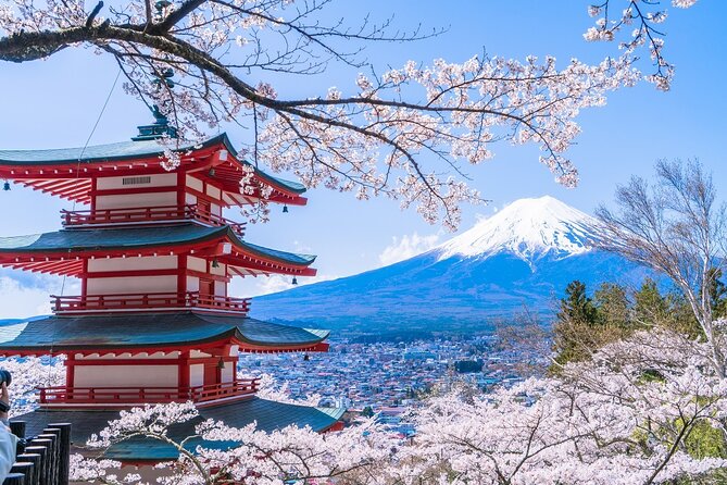 Mount Fuji Day Trip From Tokyo With Scenic Views - Tour Overview and Details