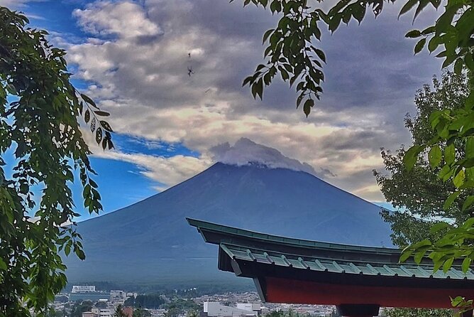 Mount Fuji Full Day Private Tour With English Speaking Driver - Tour Overview