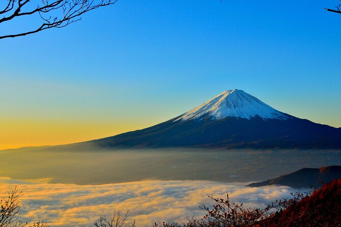 Mount Fuji (Mt. Fuji) Private Tour by Car With Pickup From Tokyo - Tour Overview