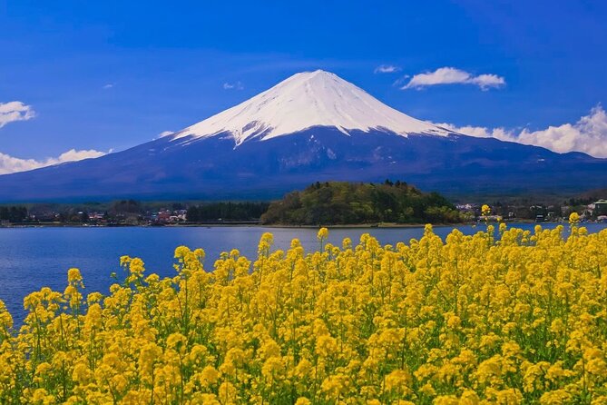 Mount Fuji Private Tour - Tour Overview