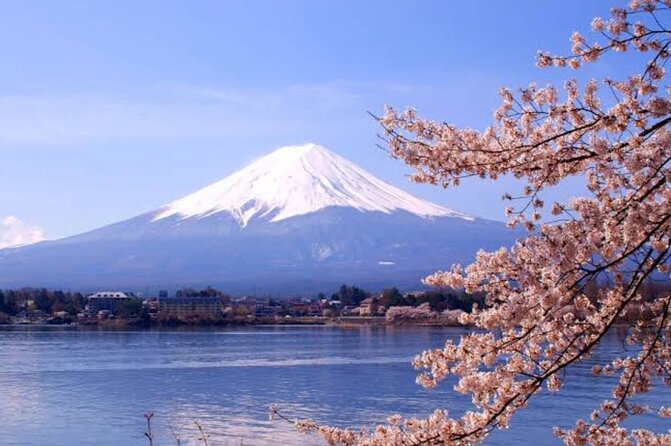 Mount Fuji Sightseeing Day Tour With English-Speaking Driver - What to Expect